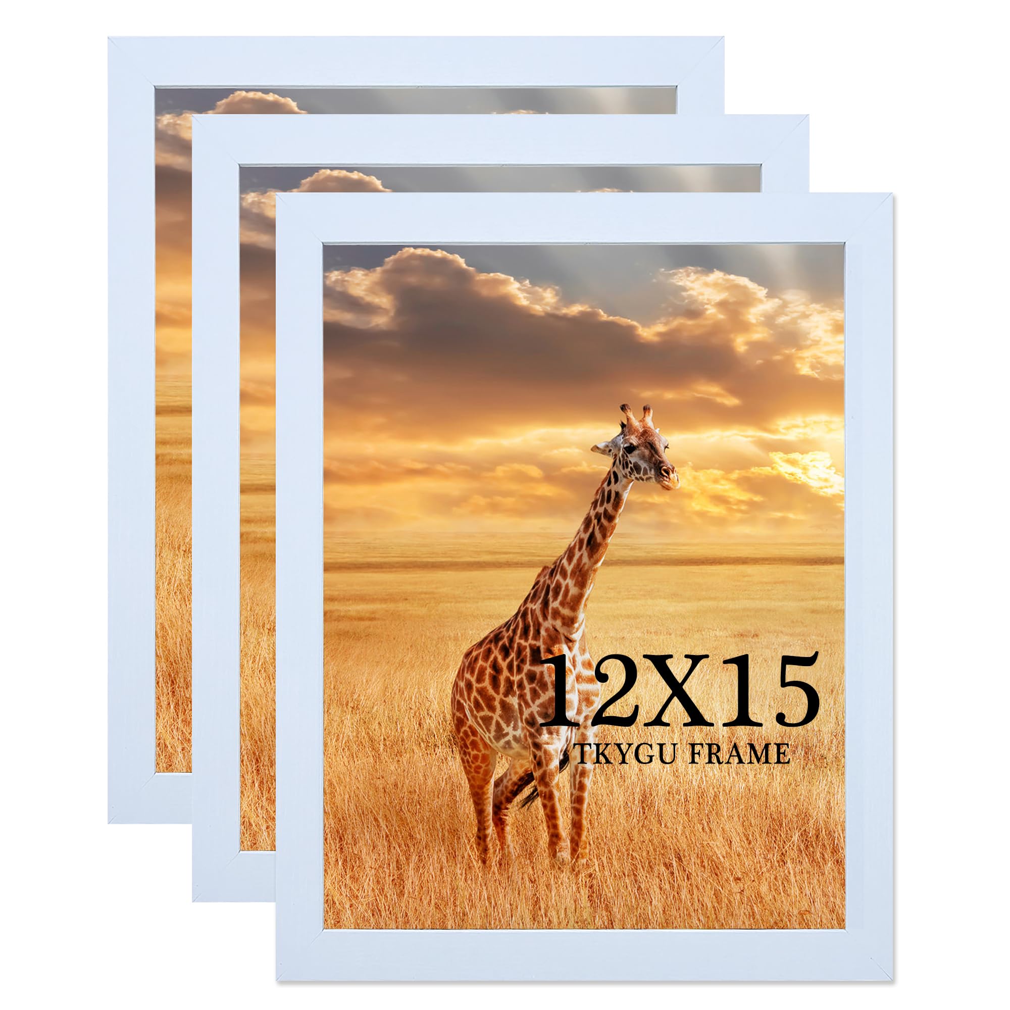 13x17 Picture Frame Set of 3, Wooden Frame Black for 13 x 17 Inch Picture Poster Photo with Durable Shatter Resistant Plexiglass,Wall Gallery Poster Photo frame 13 by 17 Frame for Wall best gift