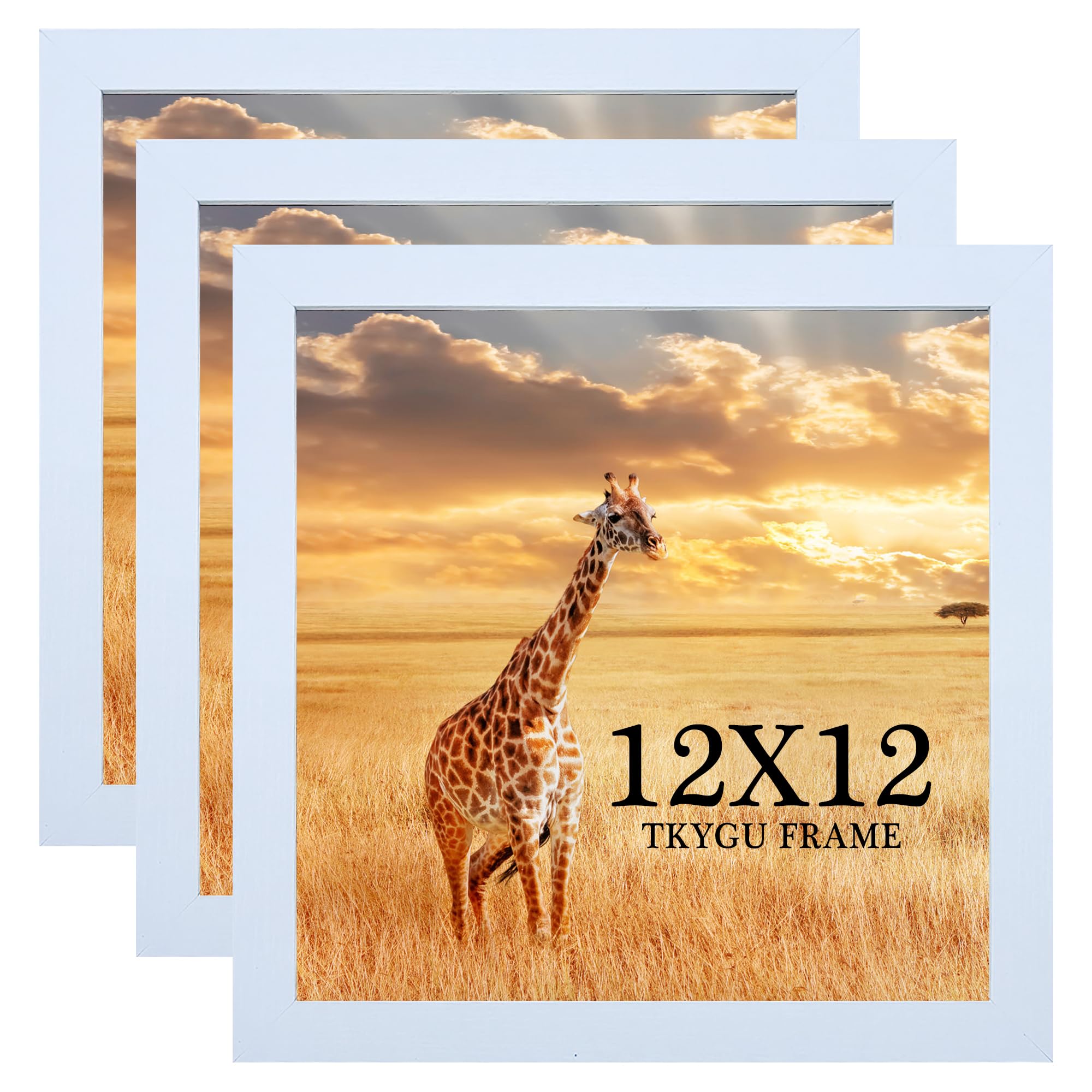 13x17 Picture Frame Set of 3, Wooden Frame Black for 13 x 17 Inch Picture Poster Photo with Durable Shatter Resistant Plexiglass,Wall Gallery Poster Photo frame 13 by 17 Frame for Wall best gift