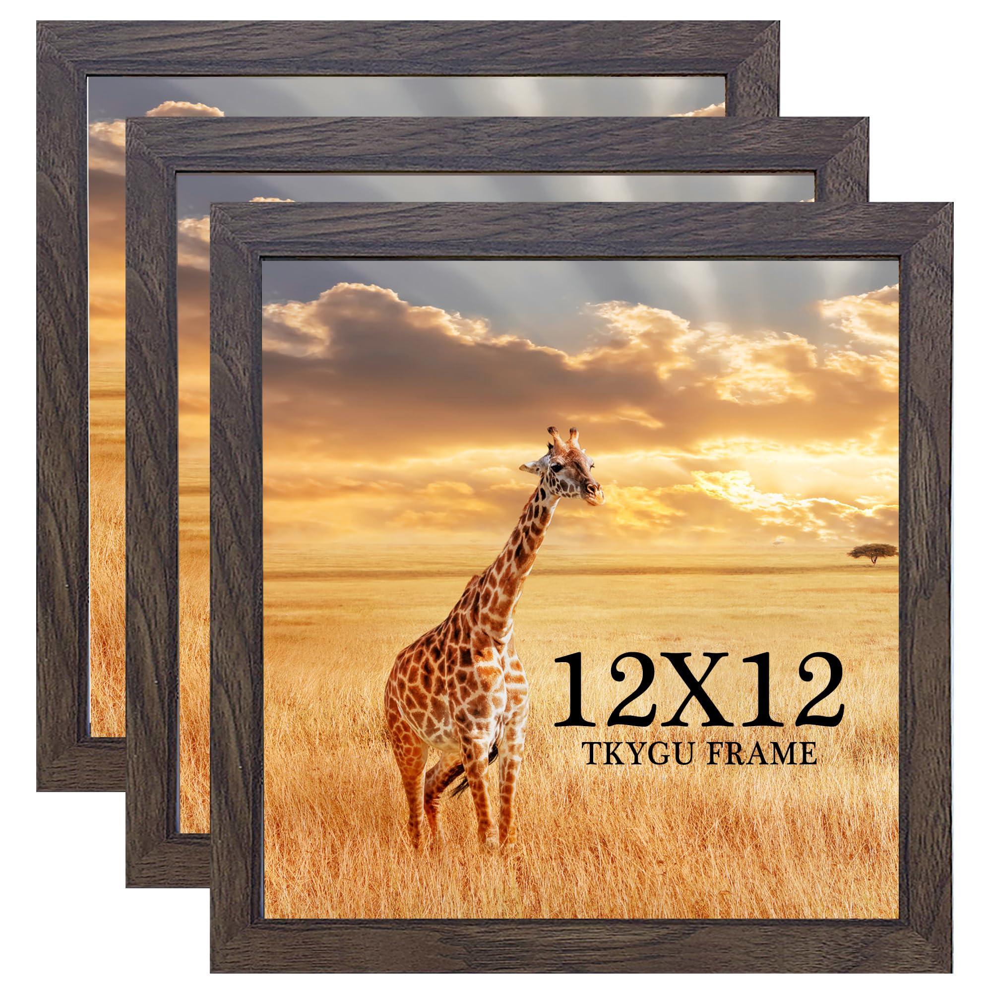13x17 Picture Frame Set of 3, Wooden Frame Black for 13 x 17 Inch Picture Poster Photo with Durable Shatter Resistant Plexiglass,Wall Gallery Poster Photo frame 13 by 17 Frame for Wall best gift